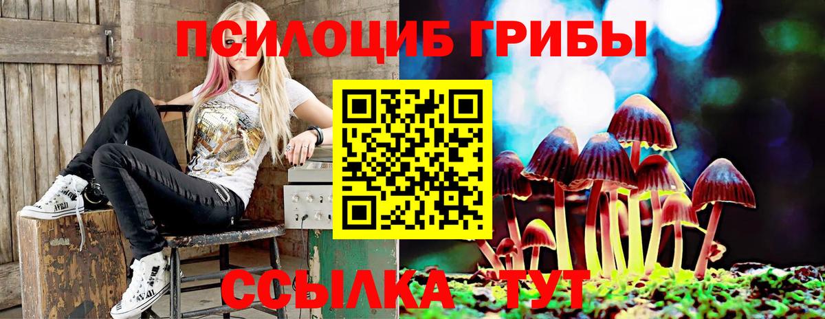 Галлюциногенные грибы мухоморы  что такое наркотик  Рыбинск  Вход с VPN 